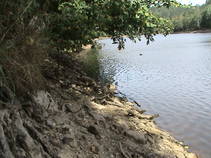 foto/fotoalba/09869/7267/x-chytej.cz-09869-60572.jpg
