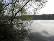 foto/fotoalba/09976/3927/x-chytej.cz-09976-00029702.jpg