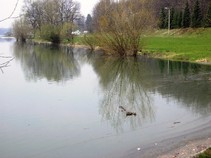 foto/fotoalba/09976/3927/x-chytej.cz-09976-00029711.jpg