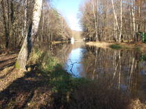 foto/fotoalba/10001/6243/x-chytej.cz-10001-48943.jpg