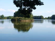 foto/fotoalba/10001/6243/x-chytej.cz-10001-48945.jpg