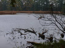 foto/fotoalba/10001/6243/x-chytej.cz-10001-48946.jpg