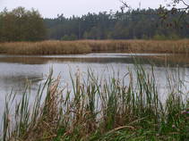 foto/fotoalba/10001/6243/x-chytej.cz-10001-48947.jpg