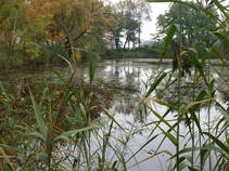 foto/fotoalba/10001/6243/x-chytej.cz-10001-48948.jpg