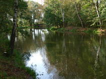 foto/fotoalba/10001/6243/x-chytej.cz-10001-51468.jpg