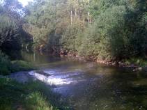 foto/fotoalba/10001/6243/x-chytej.cz-10001-52183.jpg