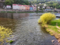 foto/fotoalba/10001/6243/x-chytej.cz-10001-60443.jpg