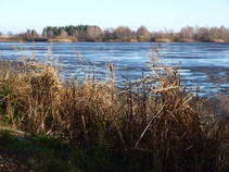foto/fotoalba/10001/6243/x-chytej.cz-10001-61939.jpg