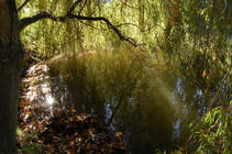 foto/fotoalba/10001/6243/x-chytej.cz-10001-62370.jpg