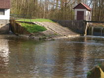 foto/fotoalba/10001/6243/x-chytej.cz-10001-63379.jpg