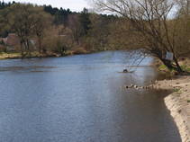 foto/fotoalba/10001/6243/x-chytej.cz-10001-63390.jpg