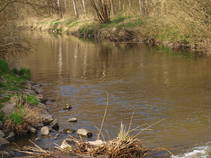 foto/fotoalba/10001/6243/x-chytej.cz-10001-63392.jpg