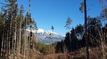 foto/fotoalba/10001/6243/x-chytej.cz-10001-66260.jpg