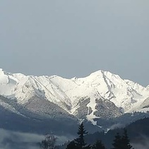 foto/fotoalba/10001/6243/x-chytej.cz-10001-67614.jpg