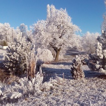 foto/fotoalba/10001/6243/x-chytej.cz-10001-67616.jpg