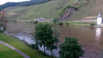 foto/fotoalba/10001/6243/x-chytej.cz-10001-69188.jpg