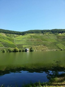 foto/fotoalba/10001/6243/x-chytej.cz-10001-69190.jpg