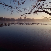 foto/fotoalba/10001/6243/x-chytej.cz-10001-69312.jpg