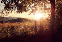 foto/fotoalba/10001/6243/x-chytej.cz-10001-69314.jpg
