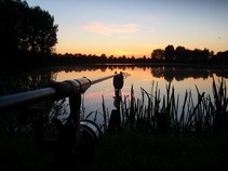 foto/fotoalba/10001/6243/x-chytej.cz-10001-69550.jpg