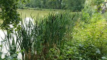 foto/fotoalba/10001/6243/x-chytej.cz-10001-70512.jpg