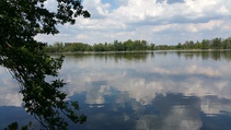 foto/fotoalba/10001/6243/x-chytej.cz-10001-70515.jpg