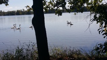 foto/fotoalba/10001/6243/x-chytej.cz-10001-70517.jpg