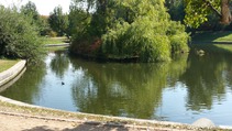 foto/fotoalba/10001/6243/x-chytej.cz-10001-70518.jpg
