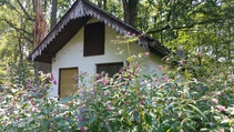 foto/fotoalba/10001/6243/x-chytej.cz-10001-70521.jpg