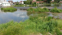 foto/fotoalba/10001/6243/x-chytej.cz-10001-70529.jpg