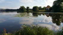 foto/fotoalba/10001/6243/x-chytej.cz-10001-70694.jpg