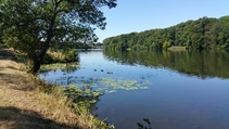 foto/fotoalba/10001/6243/x-chytej.cz-10001-70698.jpg