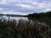 foto/fotoalba/10001/6243/x-chytej.cz-10001-70713.jpg
