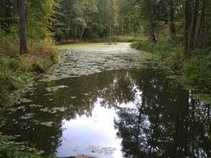 foto/fotoalba/10001/6243/x-chytej.cz-10001-70715.jpg