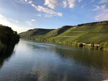foto/fotoalba/10001/6243/x-chytej.cz-10001-70746.jpg