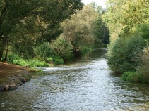 foto/fotoalba/10001/6243/x-chytej.cz-10001-70926.jpg
