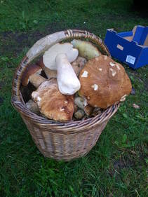foto/fotoalba/10001/6245/x-chytej.cz-10001-49000.jpg
