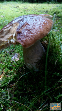 foto/fotoalba/10001/6245/x-chytej.cz-10001-67330.jpg