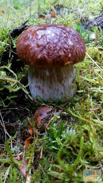 foto/fotoalba/10001/6245/x-chytej.cz-10001-69114.jpg
