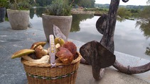 foto/fotoalba/10001/6245/x-chytej.cz-10001-69118.jpg