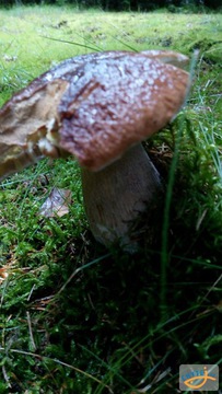foto/fotoalba/10001/6245/x-chytej.cz-10001-69122.jpg