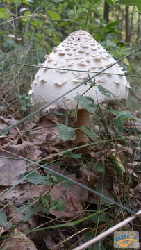 foto/fotoalba/10001/6245/x-chytej.cz-10001-70411.jpg