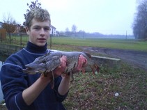 foto/fotoalba/10195/4203/x-chytej.cz-10195-00031955.jpg