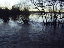 foto/fotoalba/10357/4311/x-chytej.cz-10357-00033021.jpg