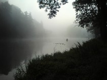 foto/fotoalba/10368/3965/x-chytej.cz-10368-00029986.jpg