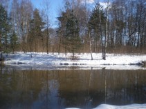 foto/fotoalba/10479/4187/x-chytej.cz-10479-00031775.jpg
