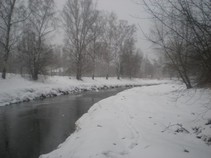 foto/fotoalba/10479/4187/x-chytej.cz-10479-00031978.jpg