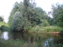 foto/fotoalba/10479/4210/chytej.cz-10479-00031985.jpg