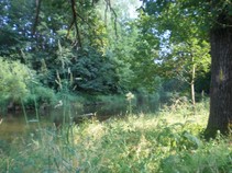 foto/fotoalba/10479/4210/x-chytej.cz-10479-00031986.jpg