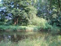 foto/fotoalba/10479/4210/x-chytej.cz-10479-00031987.jpg
